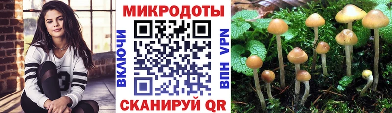 цены наркотик  Тимашёвск  Псилоцибиновые грибы мицелий 